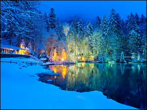 Las, Zima, Śnieg, Szwajcaria, Drzewa, Jezioro Blausee