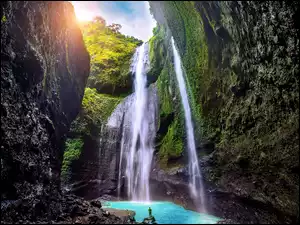 Madakaripura Waterfall, Omszałe, Indonezja, Wodospad, Wyspa Jawa, Drzewa, Skały