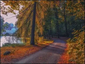 Dom, Las, Ścieżka, Park, Drzewa, Staw, Jesień, Droga
