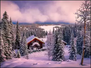 Ringkollen, Zima, Mgła, Norwegia, Ośnieżony, Dom, Drzewa