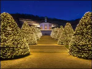 Rozświetlone choinki na schodach do winiarnii Schloss Wackerbarth w Naundorf
