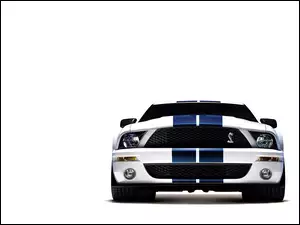 Ford Shelby GT500