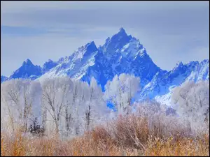 Góry skaliste w parku Grand Teton