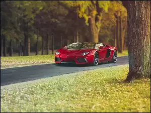 Droga, Czerwone, Lamborghini, Aventador