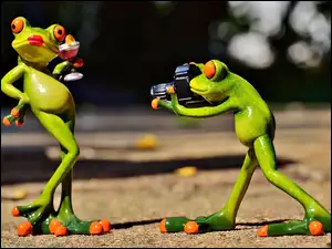 Zdjęciowa, Fotograficzny, Sesja, Żaby, Aparat