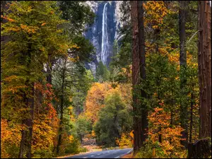 Widok zza pożółkłych drzew na wodospad Bridalveil Fall