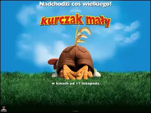 kuper, Kurczak Mały, trawa