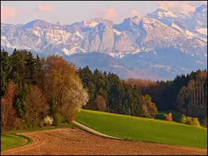 Lasy, Jesień, Pola, Góry