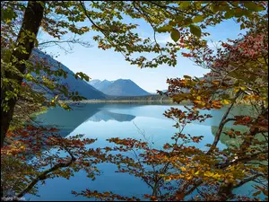 Jezioro Sylvensteinsee za drzewami