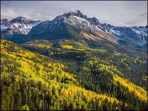 Drzewa, Góry Skaliste, Jesień, Kolorado, Góra, Lasy, Stany Zjednoczone, Mount Sneffels