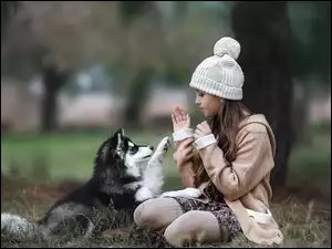 Dziewczynka bawiąca się ze szczeniakiem rasy husky na spacerze