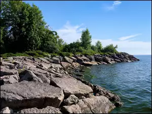 Morze, Drzewa, Kamienie, Wybrzeże, Kaczka