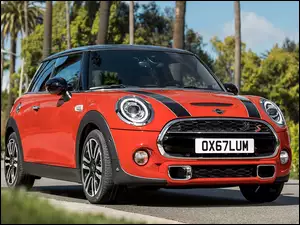 Mini Cooper S Hardtop 2 Door 2018 na drodze z drzewami