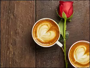 Kawy, Deski, Róża, Czerwona, Cappuccino