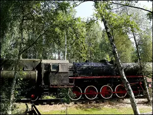 Las, Stary, Pociąg, Brzozy