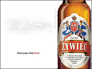 Piwo, Piwo Żywiec