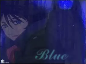 Wolfs Rain, Blue, Wilk