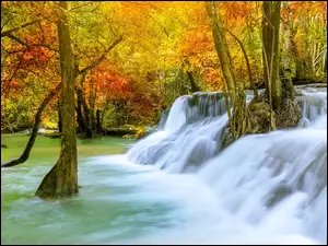 Park Narodowy Khuean Srinagarindra, Jesień, Kamienie, Prowincja Kanchanaburi, Las, Wodospad Huai Mae Khamin, Tajlandia, Drzewa