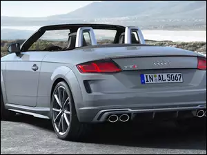 Cabrio, Audi TTS Roadster