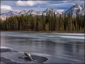 Opal Mountain Range, Drzewa, Spillway Lake, Alberta, Las, Zima, Kanada, Jezioro