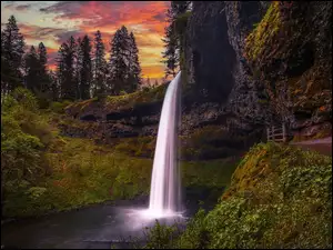 Oregon, Park stanowy, Drzewa, Stany Zjednoczone, South Falls, Wodospad, Silver Falls State Park