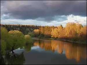 Las, Jesień, Rzeka, Odbicie, Drzewa, Chmury