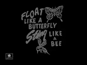 motyl, Adidas, pszczoła