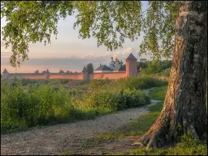 Ścieżka pod drzewem i cerkiew w oddali