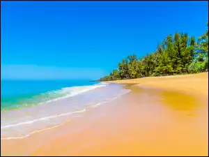 Ocean, Plaża, Drzewa, Lato, Niebo, Niebieskie, Piasek