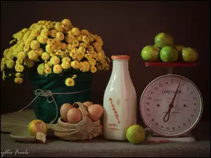 Bukiet, Chryzantemy, Kompozycja, Mleko, Jajka, Owoce, Waga