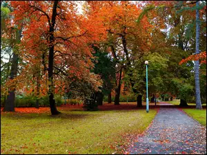 Alejka, Polska, Jesień, Ścieżka, Gdańsk, Drzewa, Droga, Park Steffensa