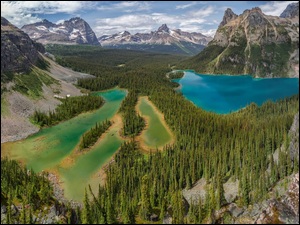 Kanada, Jezioro, Park Narodowy Yoho, Drzewa, Park, Mary Lake, Jezioro OHara, Góry, Las