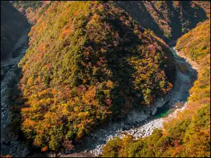 Japonia, Dolina, Hinoji Valley, Rzeka Iya, Zalesione, Jesień, Drzewa, Góry, Lasy, Wyspa Sikoku