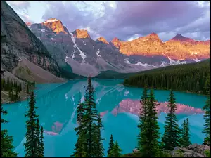 Jezioro Moraine w górach z świerkami
