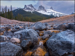 Drzewa, Alberta, Potok, Three Sisters, Kamienie, Góry, Canadian Rockies, Kanada, Góra