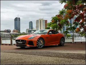 Samochód Jaguar F-Type SVR Coupe rocznik 2016-2017