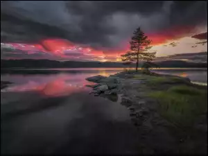 Drzewo, Norwegia, Chmury, Jezioro, Ringerike