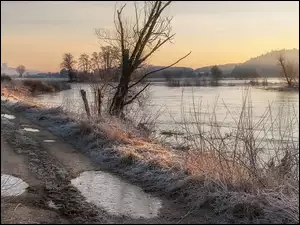 Drzewa, Trawa, Rzeka, Droga, Oszroniona