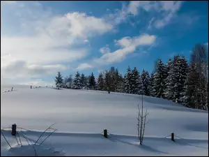 Zimowe ośnieżone pole
