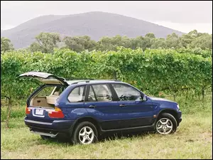 Bmw X5, E53