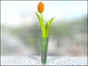 Wazon, Pomarańczony, Tulipan