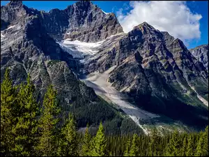 Lasy, Góry Skaliste, Park Narodowy Banff, Kanada, Drzewa, Prowincja Alberta