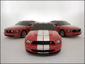 Shelby, Ford Mustang