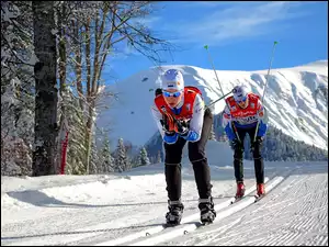 Narty, Sochi 2014, Zawodnicy