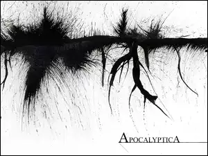 Apocalyptica, nazwa zespołu