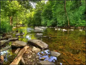 Kamienny most Tarr Steps nad rzeką Barle w Anglii