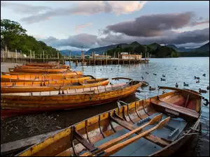 Kaczki, Łódki, Góry, Anglia, Jezioro Derwent Water, Keswick