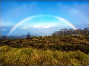 Tęcza nad Parkiem Narodowym Haleakalā na wyspie Maui na Hawajach