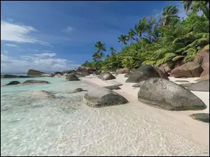 Tropikalna plaża