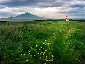 Kwiaty, Latarnia morska, Japonia, Łąka, Wyspa Rishiri, Mount Rishiri, Góra